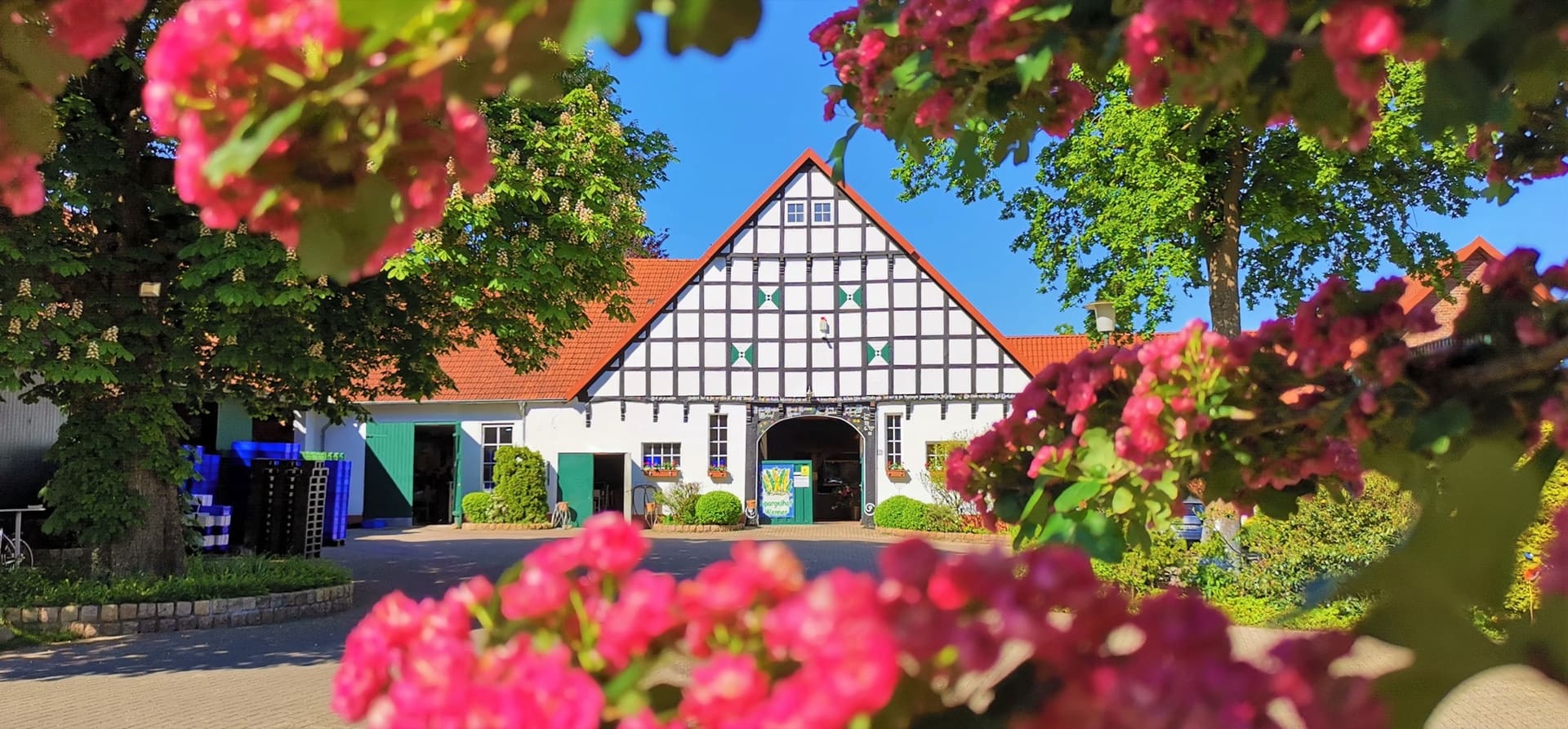 Der Spargelhof Wenner in Hilter: weißes Fachwerkhaus mit Tordurchfahrt, davor blühende Sträucher